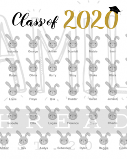 Abeona Leavers Class 2020
