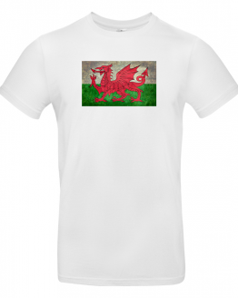 Wales Euro 2020 Distorted Flag T Shirt